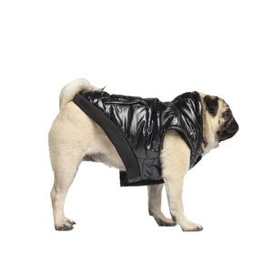 Canada pooch dog jacket